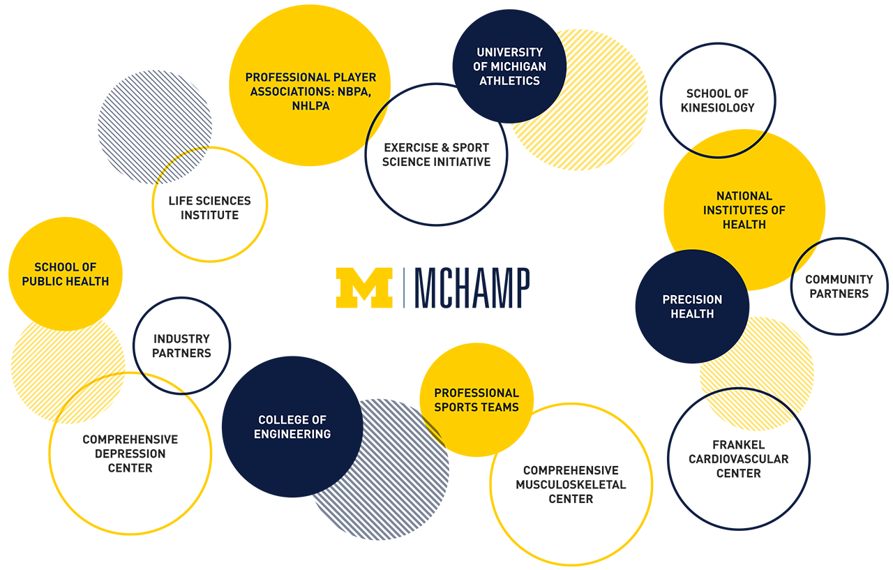 Chart outlining MCHAMP disciplines